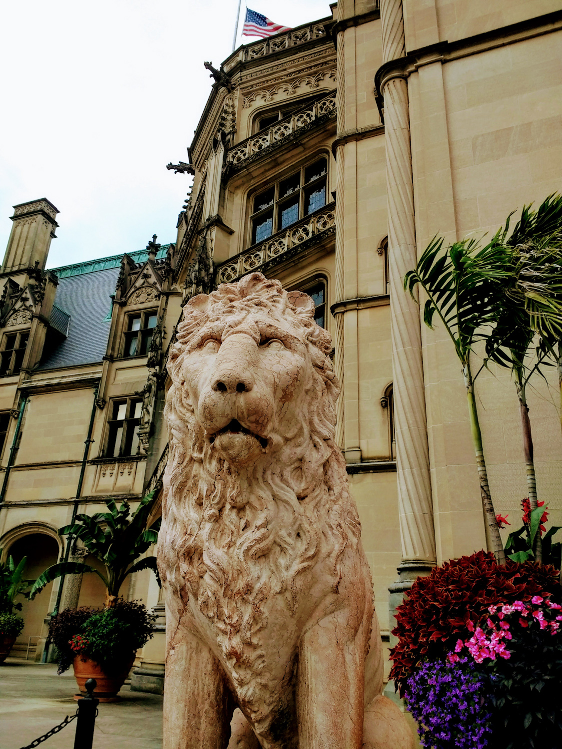 Lion statue at front of Biltmore House